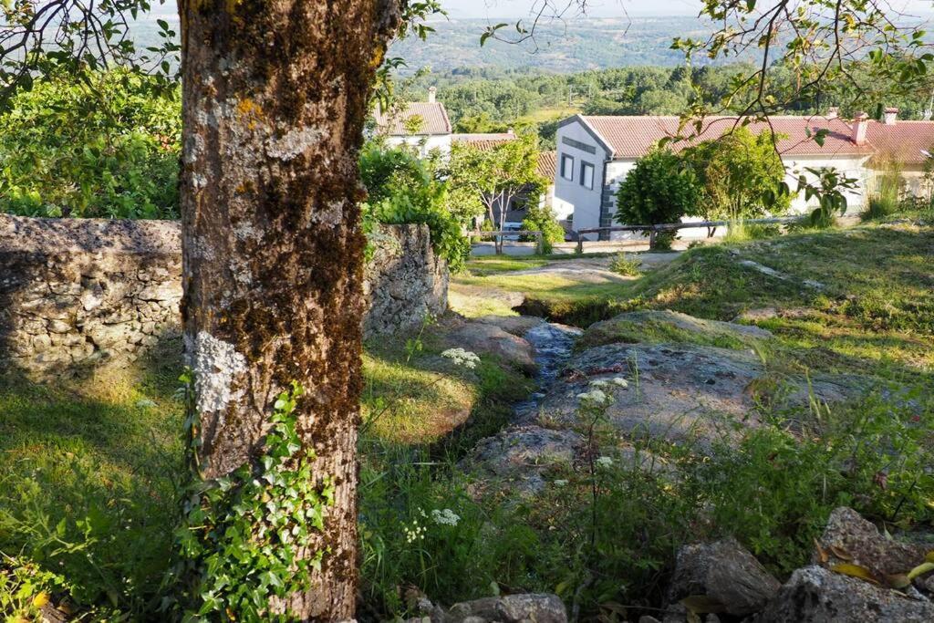 El Bosque De Los Romanos Apartment Puerto de Bejar Luaran gambar