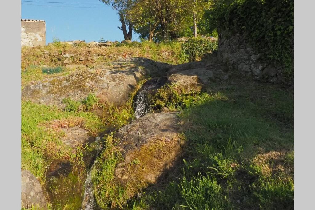 El Bosque De Los Romanos Apartment Puerto de Bejar Luaran gambar